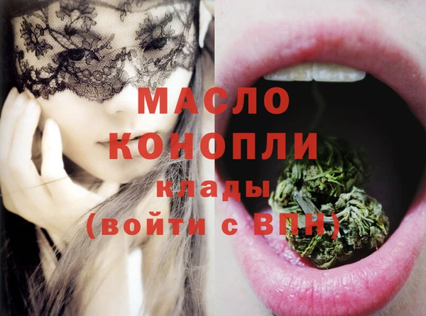 ешки Новодвинск