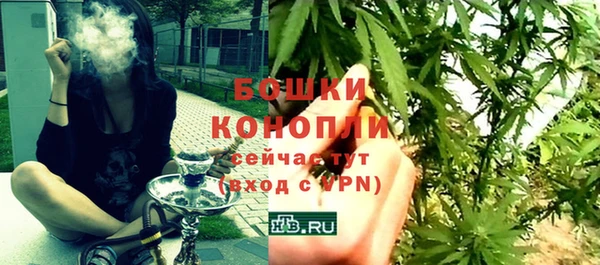 ешки Новодвинск