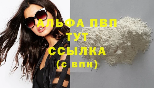 ешки Новодвинск