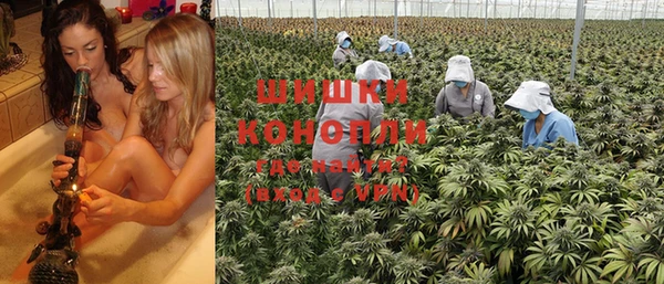 ешки Новодвинск