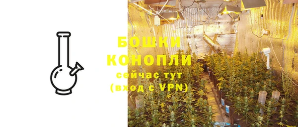 ешки Новодвинск