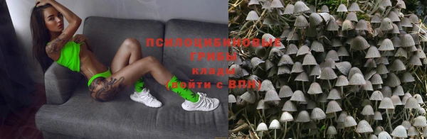дистиллят марихуана Новозыбков