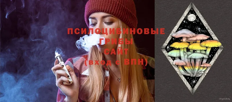 блэк спрут   Усть-Лабинск  Галлюциногенные грибы Psilocybe 