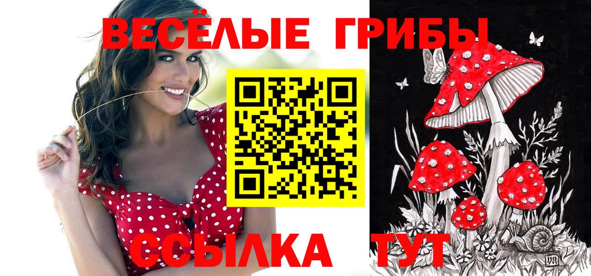 Меф МЯУ МЯУ кристаллы  Codein  Усть-Лабинск  Вход с VPN  Гашиш  Канабис  Кокаин  ГАШ 
