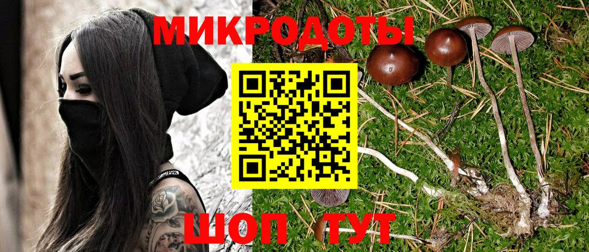 Усть-Лабинск  Галлюциногенные грибы прущие грибы  где найти наркотики  Вход с VPN 