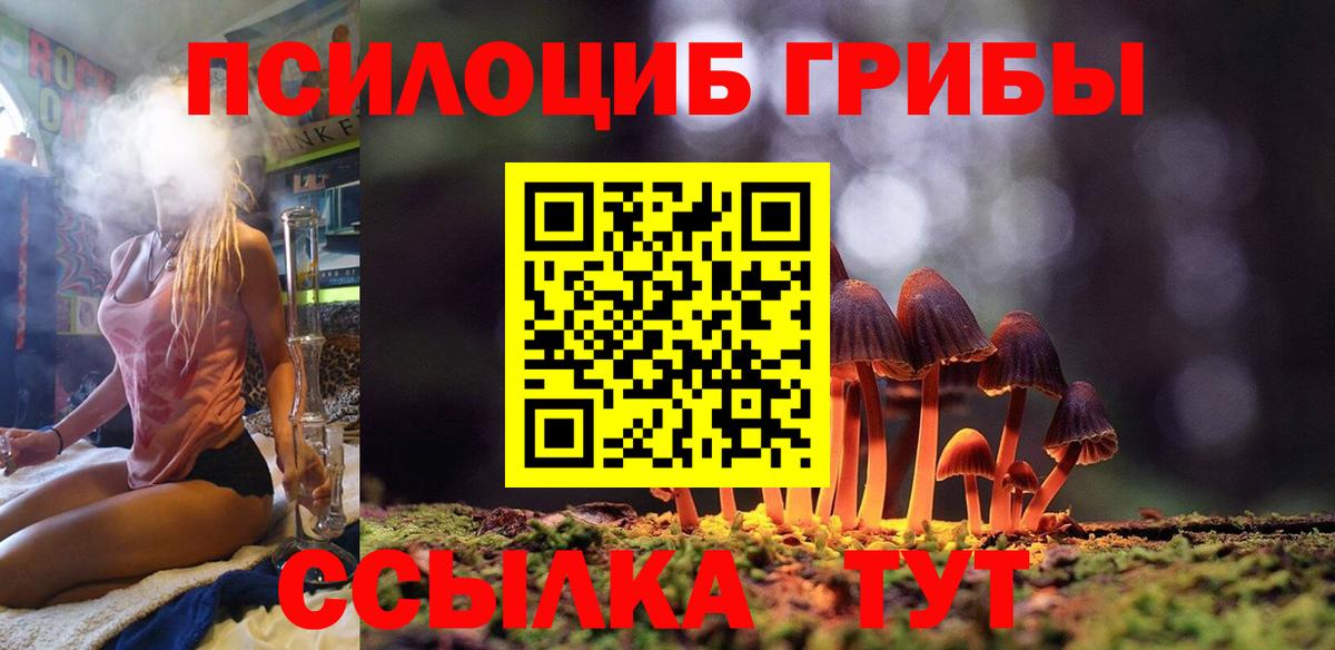 Галлюциногенные грибы Psilocybine cubensis Усть-Лабинск